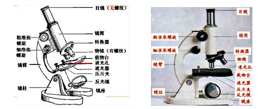 长沙显微镜
